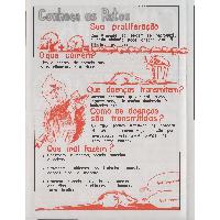 Thumbnail for "Conheça os ratos," …