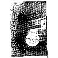 Thumbnail for The Brown Daily …