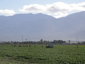 Thumbnail for Coachella Valley scenery