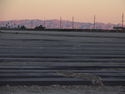 Thumbnail for Coachella Valley scenery