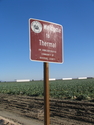 Thumbnail for Coachella Valley scenery