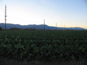Thumbnail for Coachella Valley scenery
