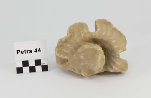 Thumbnail for Limestone capital fragment …