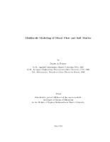 Thumbnail for Multiscale Modeling of …