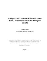 Thumbnail for Insights into Directional …
