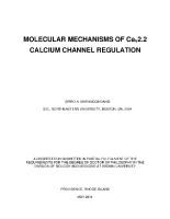 Thumbnail for Molecular Mechanisms of …