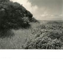 Thumbnail for Cliff Path <small> …