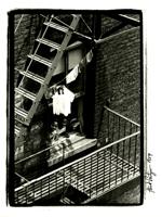 Thumbnail for Study of three …