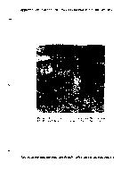 Child thumbnail