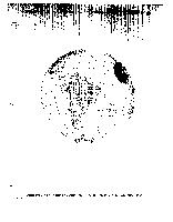 Child thumbnail