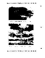Child thumbnail