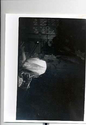 Thumbnail for Inside Box of …