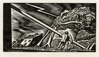 Thumbnail for Storm <small> (Object …