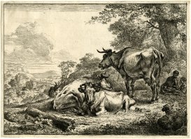 Thumbnail for Landscape With Cows …