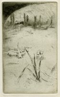 Thumbnail for Swan and Iris …