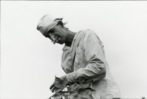 Thumbnail for Cotton Picker; Life …