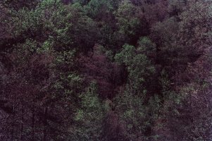 Thumbnail for Lincoln Woods, Rhode …