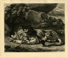 Thumbnail for Lion Devouring Rabbit …