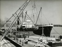 Thumbnail for African American stevedores …