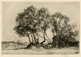 Thumbnail for Alder Bushes <small> …