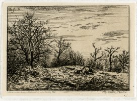 Thumbnail for Untitled (landscape with …