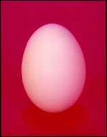 Thumbnail for E (egg) <small> …