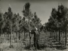 Thumbnail for Worker measuring slash …