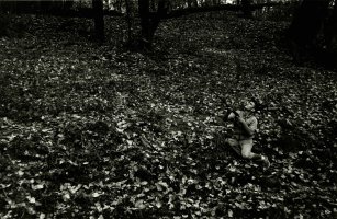 Thumbnail for Untitled (Roper in …