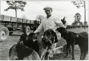 Thumbnail for Dog Boy, Ellis …
