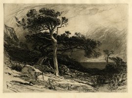 Thumbnail for Old Cedars, Coast …
