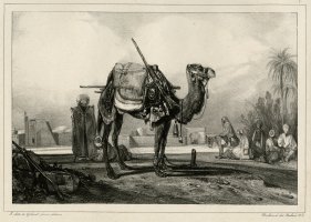 Thumbnail for Halte d'une Caravane …