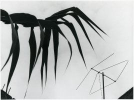Thumbnail for Untitled <small> (Object …