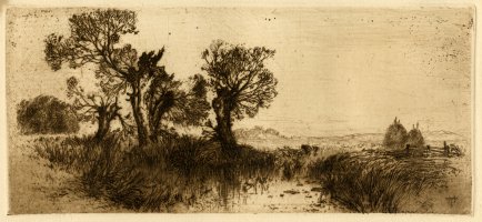 Thumbnail for Study of Willows …