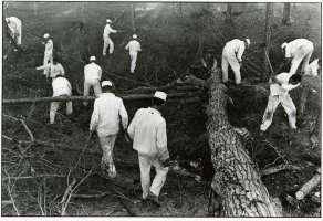Thumbnail for Clearing Land <small> …