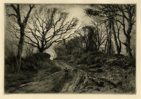 Thumbnail for A Winter Evening …