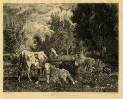 Thumbnail for Landscape and Cattle …