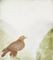 Thumbnail for Golden Eagle <small> …