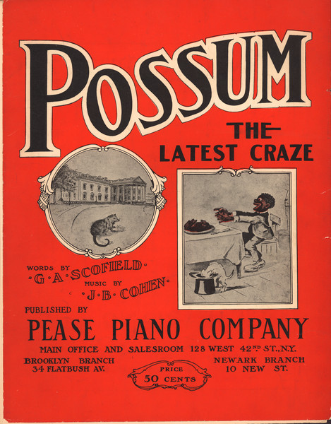 Thumbnail for Possum:: <small> the …