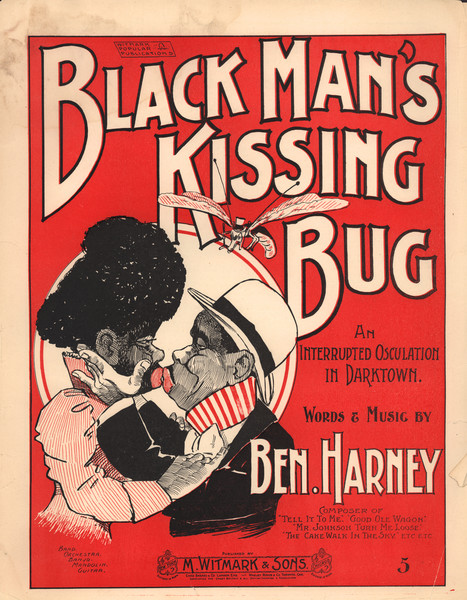 Thumbnail for The black man's …