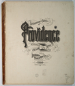 Thumbnail for Insurance maps of …