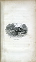 Child thumbnail