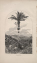 Child thumbnail