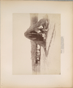 Child thumbnail