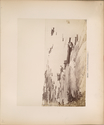 Child thumbnail