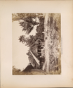 Child thumbnail