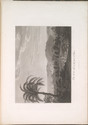 Child thumbnail