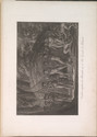 Child thumbnail
