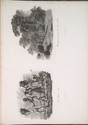 Child thumbnail