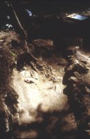 Thumbnail for burial, farther view
