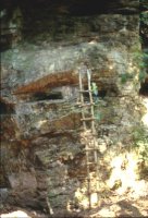 Thumbnail for cliff and ladder; …